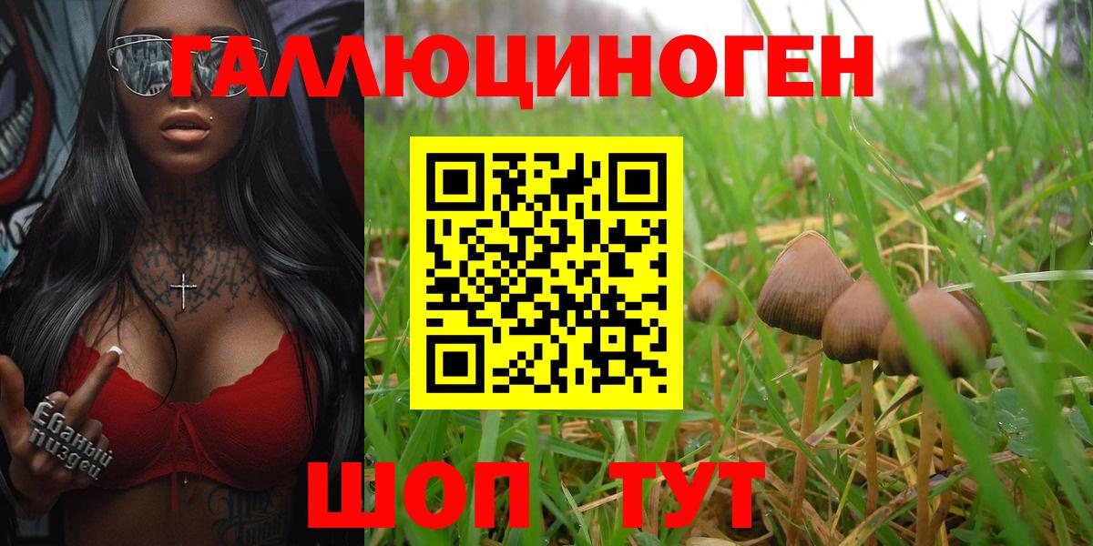 Галлюциногенные грибы прущие грибы Новоалександровск